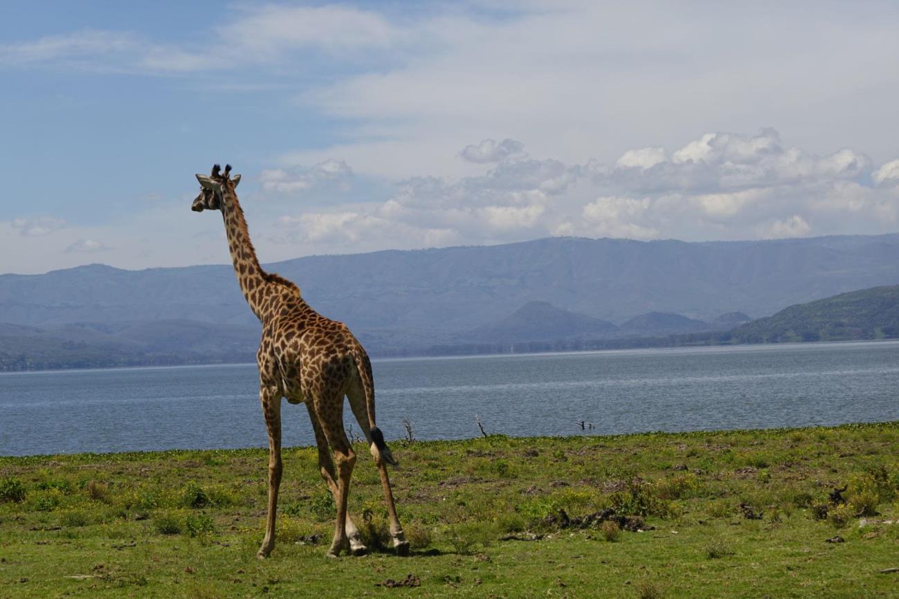 National Park Image