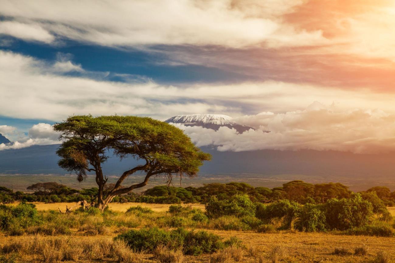 National Park Image