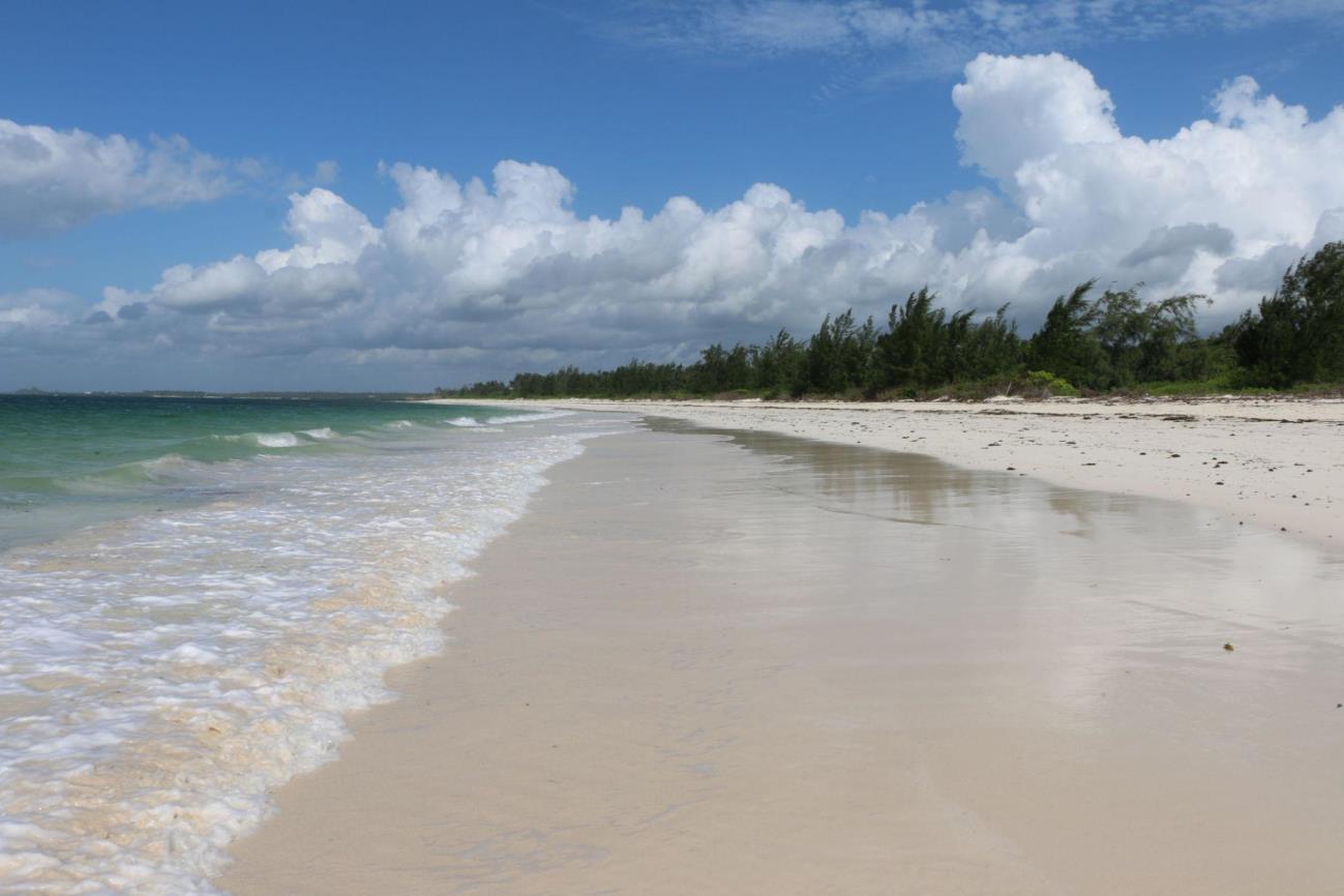 National Park Image