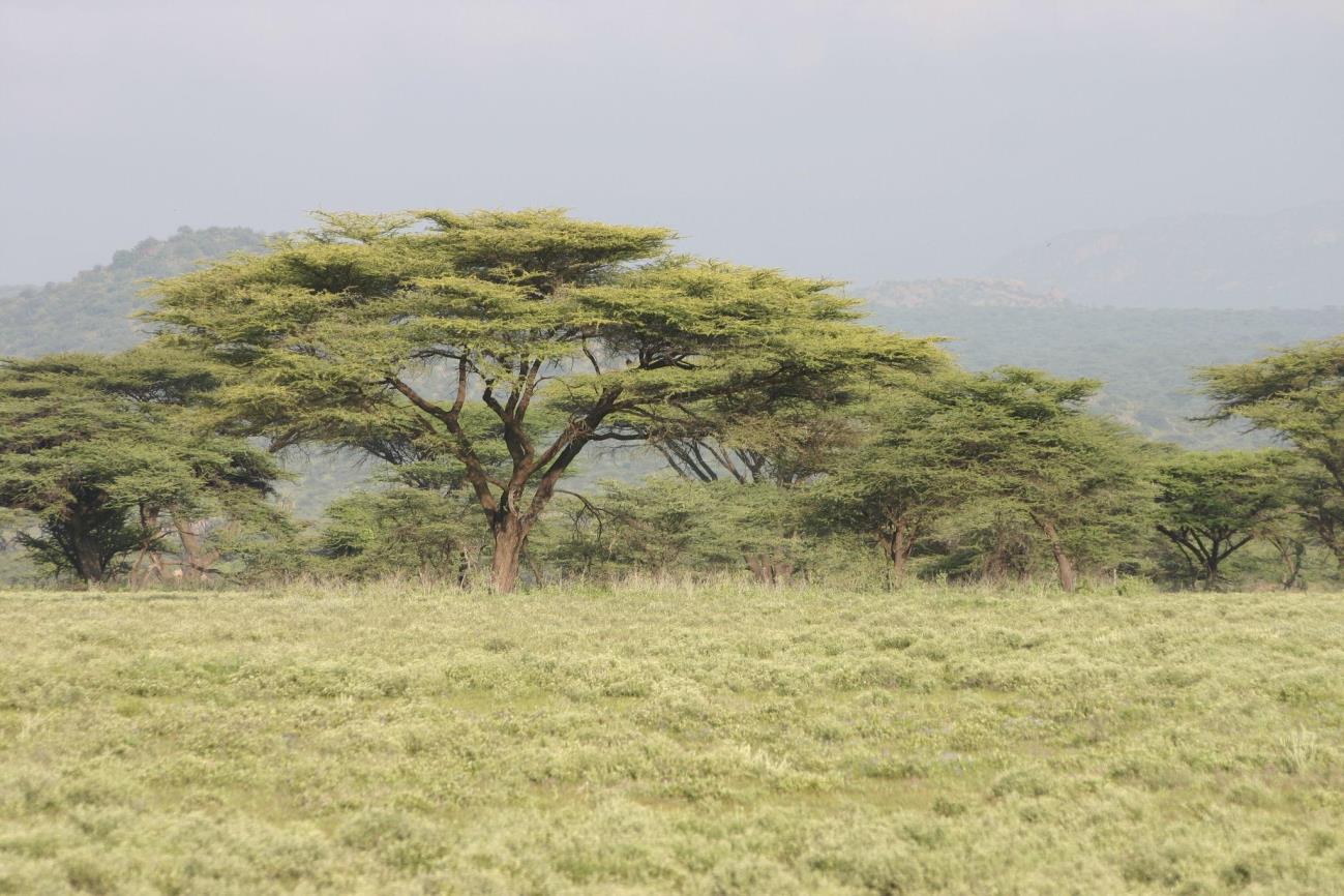 National Park Image