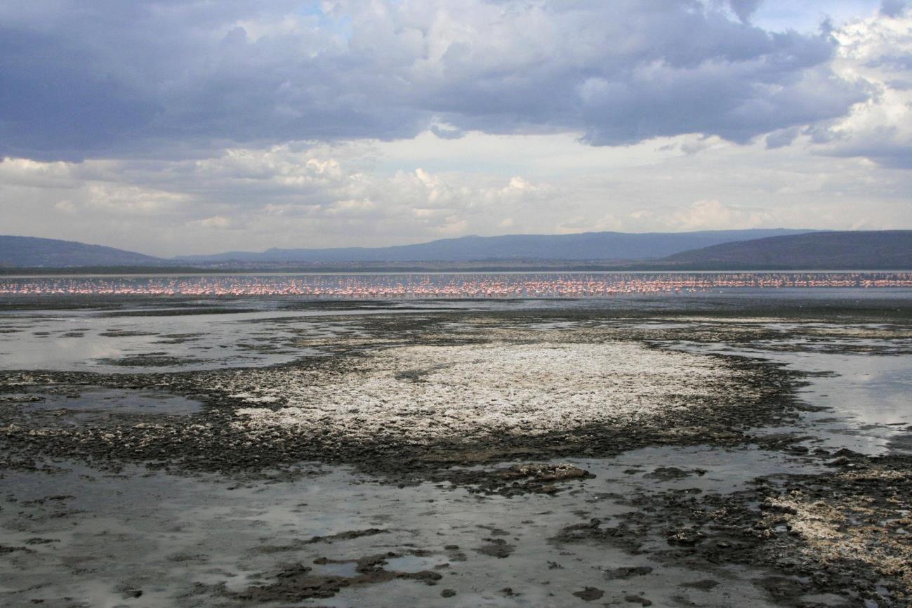 National Park Image