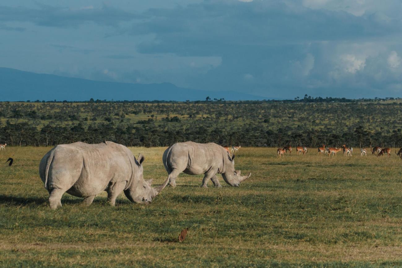 National Park Image